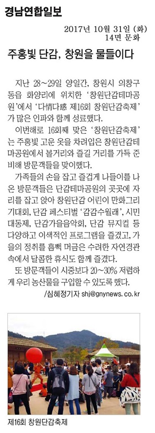 [경남연합일보]주홍빛 단감, 창원을 물들이다 이미지1