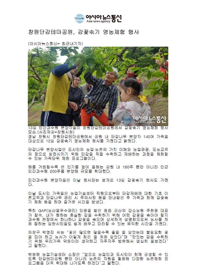 [아시아뉴스통신]창원단감테마공원, 감꽃솎기 영농체험 행사 이미지1