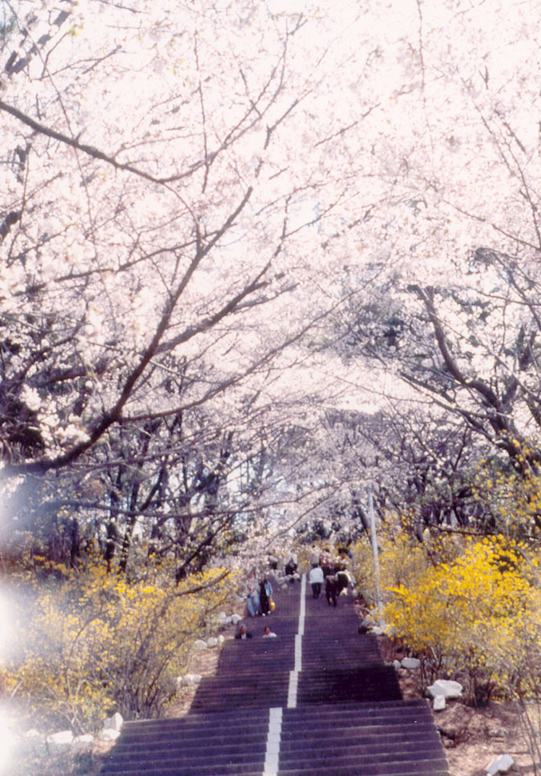제황산공원 사진