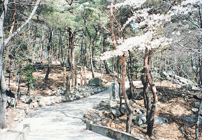 장복산공원 사진