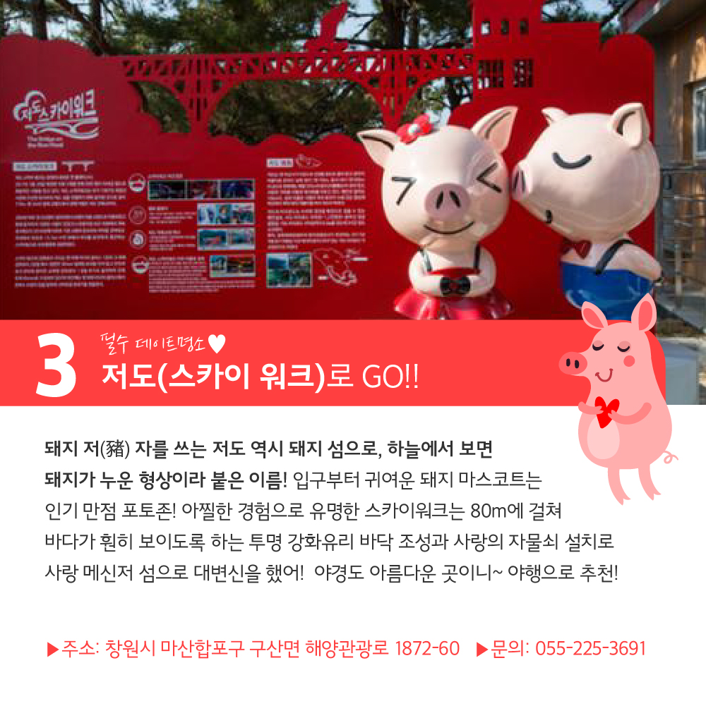 2019년 기해년 잘되면 돼지! 먹으면 돼지! 복덩이 PIC TOUR~ 사진