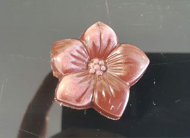 벚꽃초콜릿 사진
