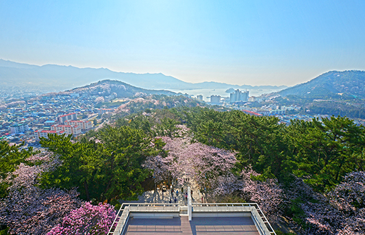 제황산공원 사진