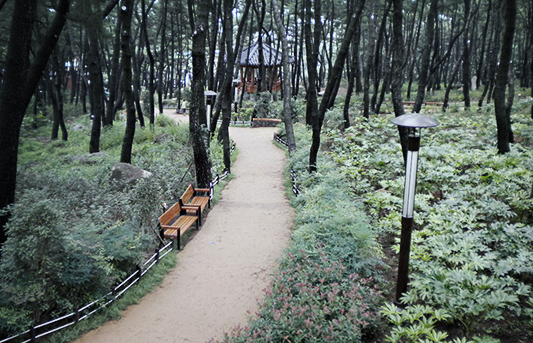자산솔밭공원 사진
