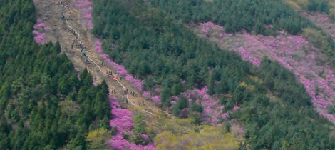 Cheonjusan Mountain ~ Jakdaesan Mountain 사진