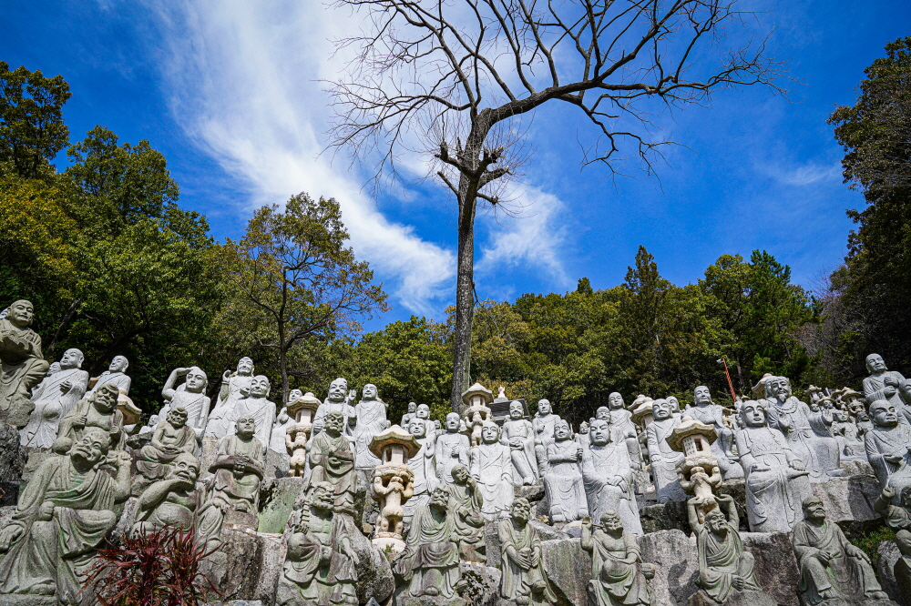 2021년 창원관광사진공모전 - 입선작(박세훈-나무 한 그루와 500개의 나한상) 사진
