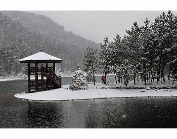 수원지의 겨울 이미지1
