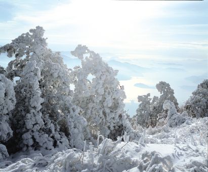 마산9경 공모전-무학산의 설경 사진