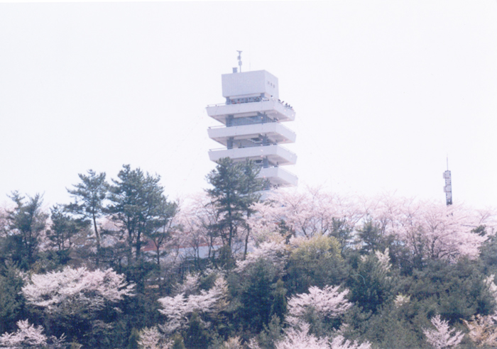 제황산탑 이미지1
