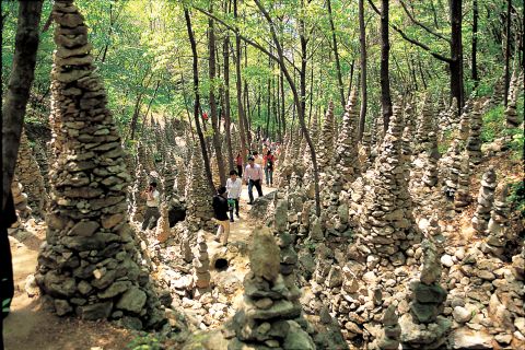 마산9경 공모전-장옥선 작 사진