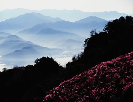 마산9경 공모전-조궁길 작 사진