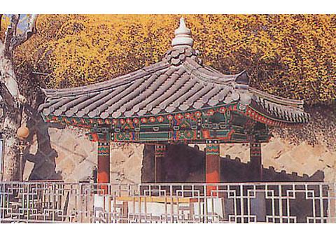 문화유적지-몽고정 (자산동) 사진
