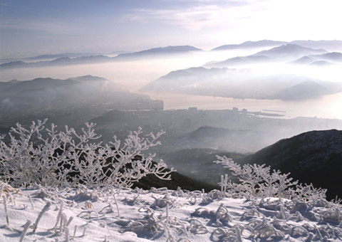 무학산의 겨울 사진