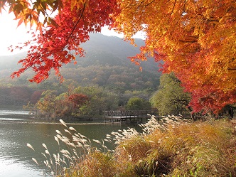 내수면의 가을풍경 사진